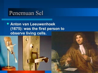Penemuan SelPenemuan Sel
 Anton van Leeuwenhoek
(1675): was the first person to
observe living cells.
 