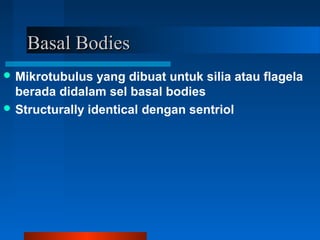 Basal BodiesBasal Bodies
 Mikrotubulus yang dibuat untuk silia atau flagela
berada didalam sel basal bodies
 Structurally identical dengan sentriol
 