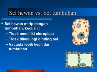Sel hewanSel hewan vs.vs. Sel tumbuhanSel tumbuhan
 Sel hewan mirip dengan
tumbuhan, kecuali :
– Tidak memiliki cloroplast
– Tidak dikelilingi dinding sel
– Vacuola lebih kecil dari
tumbuhan
 