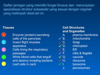 Daftar jaringan yang memiliki fungsi khusus dan menunjukan
spesialisasi struktur subseluler yang sesuai dengan organel
yang melimpah disel-sel ini.
Tissues Cell Structures
and Organelles
1. Enzyme (protein)-secreting A. plasma membrane
cells of the pancreas B. mitochondria
2. Insect flight muscles C. Golgi
apparatus D. chloroplast
3. Cells lining the respiratory E. ER
passages F. cillia & flagella
4. White blood cells that engulf G. vacuole
and destroy invading bacteria H. ribosome
5. Leaf cells in cacti I. lysosome
J. peroxisomes








 
