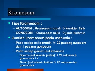 KromosomKromosom
 Tipe Kromosom :
– AUTOSOM : Kromosom tubuh karakter fisik
– GONOSOM : Kromosom seks jenis kelamin
 Jumlah kromosom pada manusia :
– Pada setiap sel somatik  22 pasang autosom
dan 1 pasang gonosom
– Pada setiap gamet (sel kelamin)
• Sperma (sel kelamin jantan)  22 autosom &
gonosom X / Y
• Ovum (sel kelamin betina)  22 autosom dan
gonosom X
 