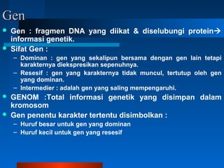 GenGen
 Gen : fragmen DNA yang diikat & diselubungi protein
informasi genetik.
 Sifat Gen :
– Dominan : gen yang sekalipun bersama dengan gen lain tetapi
karakternya diekspresikan sepenuhnya.
– Resesif : gen yang karakternya tidak muncul, tertutup oleh gen
yang dominan.
– Intermedier : adalah gen yang saling mempengaruhi.
 GENOM :Total informasi genetik yang disimpan dalam
kromosom
 Gen penentu karakter tertentu disimbolkan :
– Huruf besar untuk gen yang dominan
– Huruf kecil untuk gen yang resesif
 
