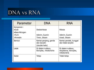 DNA vs RNADNA vs RNA
 