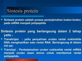 Sintesis proteinSintesis protein
 Sintesis protein adalah proses penerjemahan kodon-kodon
pada mRNA menjadi polipeptida
Sintesis protein yang berlangsung dalam 2 tahap
yaitu :
 Transkripsi : yaitu penyalinan urutan rantai nukleotida
DNA menghasilkan satu rantai RNA. Berlangsung di dalam
inti sel.
 Translasi : Penterjemahan urutan nukleotida rantai mRNA
menjadi urutan asam amino untuk membentuk rantai
polipeptida.
 