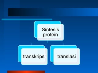 Struktur dan fungsi sel christian 1