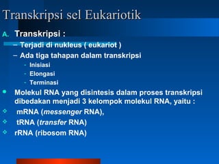 Transkripsi sel EukariotikTranskripsi sel Eukariotik
A. Transkripsi :
– Terjadi di nukleus ( eukariot )
– Ada tiga tahapan dalam transkripsi
- Inisiasi
- Elongasi
- Terminasi
 Molekul RNA yang disintesis dalam proses transkripsi
dibedakan menjadi 3 kelompok molekul RNA, yaitu :
 mRNA (messenger RNA),
 tRNA (transfer RNA)
 rRNA (ribosom RNA)
 