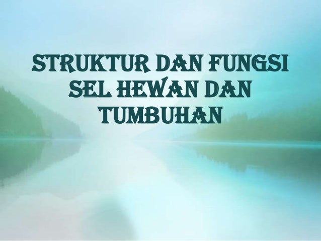 Struktur dan  fungsi sel  hewan  dan  tumbuhan 