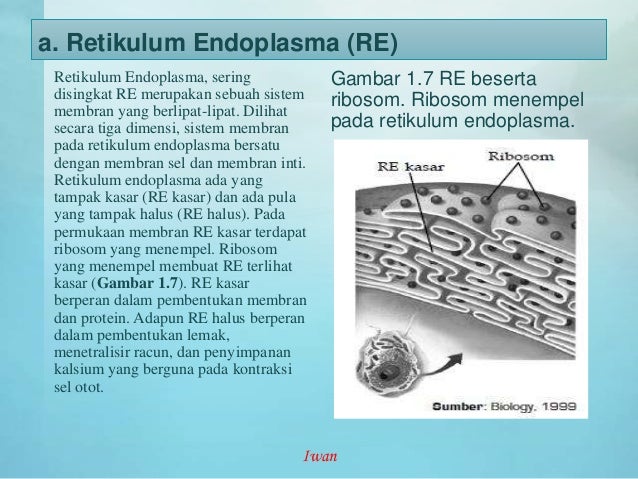  Gambar  2  Dimensi  Dan  Fungsinya Inventors Day