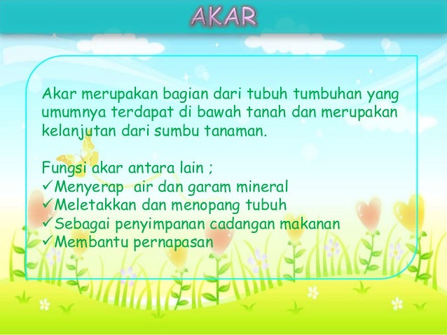 Struktur dan fungsi tubuh tumbuhan Struktur dan fungsi tubuh tumbuhan