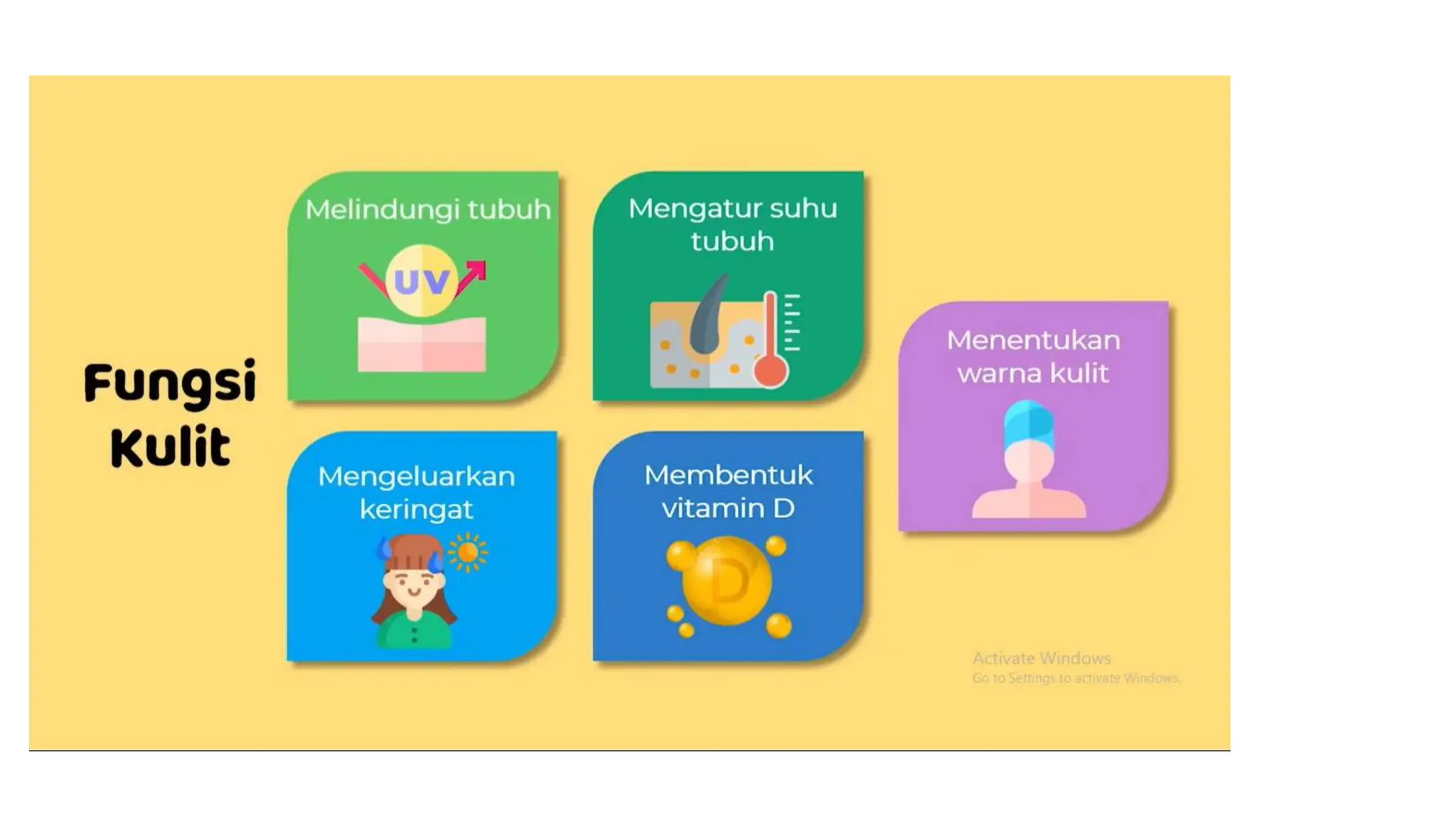 STRUKTUR DAN FUNSI SEL PENYUSUN JARINGAN PADA SISTEM EKSKRESI.pptx