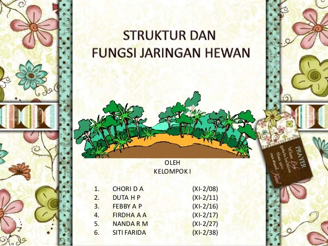 STRUKTUR DAN  JARINGAN  HEWAN 