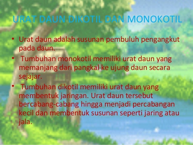 Struktur daun dan fungsinya