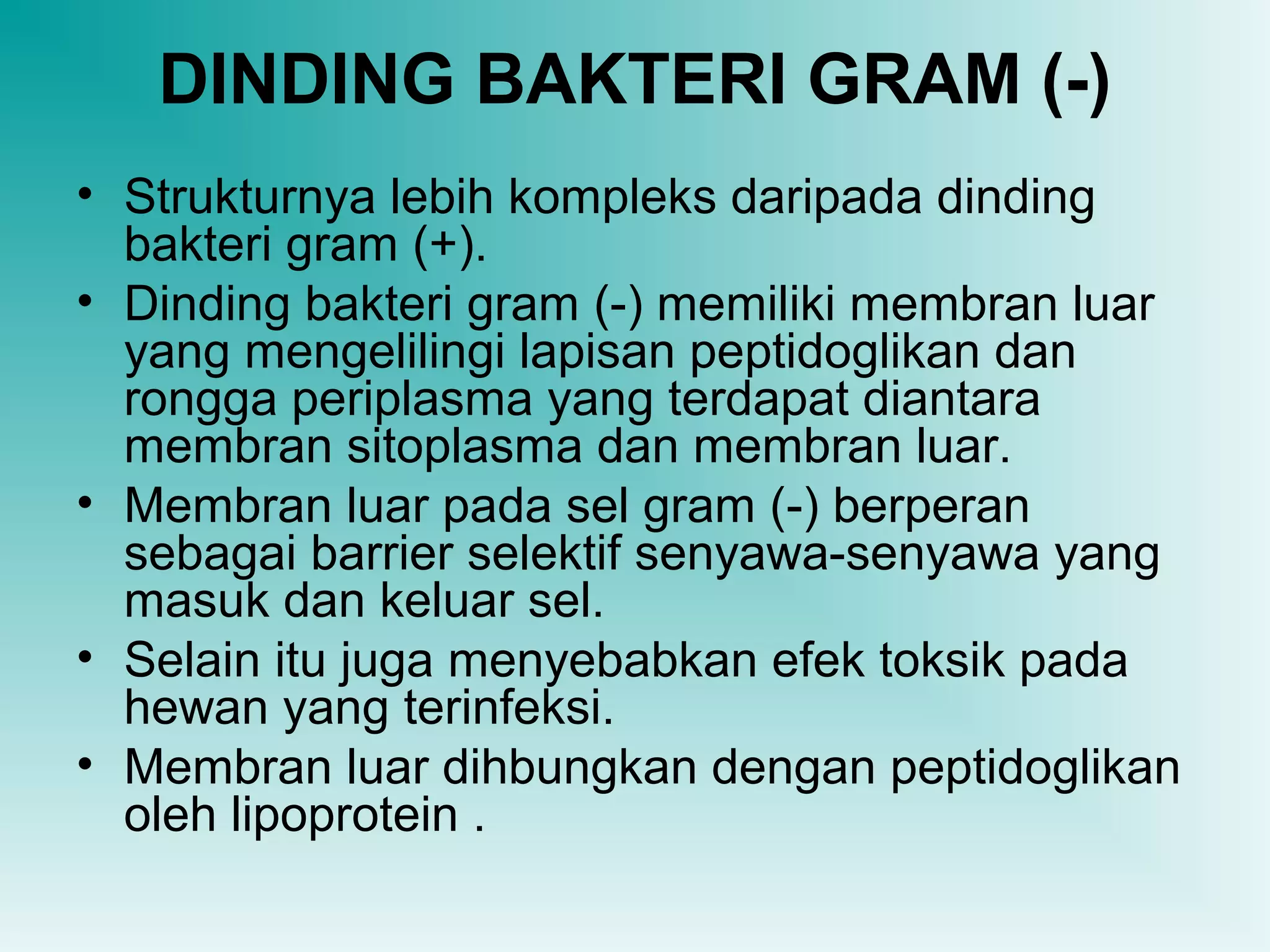 DINDING BAKTERI GRAM (-)
• Strukturnya lebih kompleks daripada dinding
bakteri gram (+).
• Dinding bakteri gram (-) memiliki membran luar
yang mengelilingi lapisan peptidoglikan dan
rongga periplasma yang terdapat diantara
membran sitoplasma dan membran luar.
• Membran luar pada sel gram (-) berperan
sebagai barrier selektif senyawa-senyawa yang
masuk dan keluar sel.
• Selain itu juga menyebabkan efek toksik pada
hewan yang terinfeksi.
• Membran luar dihbungkan dengan peptidoglikan
oleh lipoprotein .

 