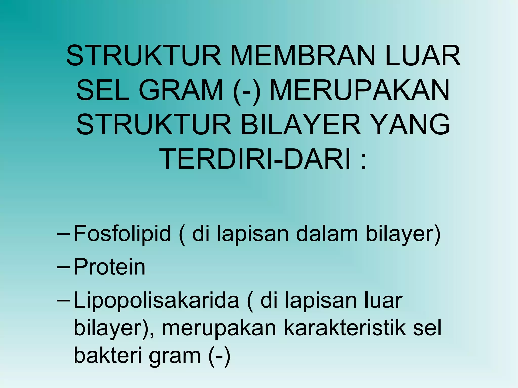 STRUKTUR MEMBRAN LUAR
SEL GRAM (-) MERUPAKAN
STRUKTUR BILAYER YANG
TERDIRI-DARI :
– Fosfolipid ( di lapisan dalam bilayer)
– Protein
– Lipopolisakarida ( di lapisan luar
bilayer), merupakan karakteristik sel
bakteri gram (-)

 