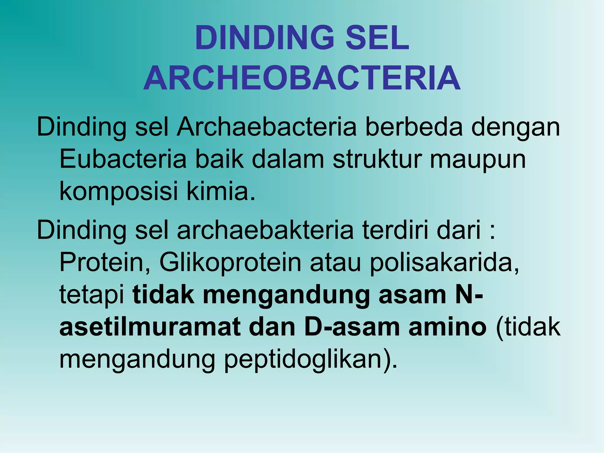 DINDING SEL
ARCHEOBACTERIA
Dinding sel Archaebacteria berbeda dengan
Eubacteria baik dalam struktur maupun
komposisi kimia.
Dinding sel archaebakteria terdiri dari :
Protein, Glikoprotein atau polisakarida,
tetapi tidak mengandung asam Nasetilmuramat dan D-asam amino (tidak
mengandung peptidoglikan).

 