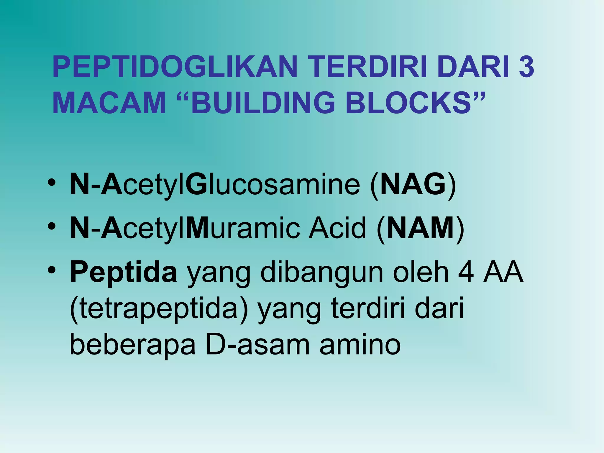 PEPTIDOGLIKAN TERDIRI DARI 3
MACAM “BUILDING BLOCKS”
• N-AcetylGlucosamine (NAG)
• N-AcetylMuramic Acid (NAM)
• Peptida yang dibangun oleh 4 AA
(tetrapeptida) yang terdiri dari
beberapa D-asam amino

 