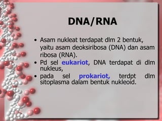 DNA/RNA 
•Asam nukleat terdapat dlm 2 bentuk, yaitu asam deoksiribosa (DNA) dan asam ribosa (RNA). 
•Pdseleukariot,DNAterdapatdidlmnukleus, 
•padaselprokariot,terdptdlmsitoplasmadalambentuknukleoid.  