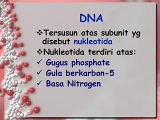 DNA 
Tersusunatassubunit ygdisebutnukleotida 
Nukleotidaterdiriatas: 
Gugusphosphate 
Gulaberkarbon-5 
BasaNitrogen  