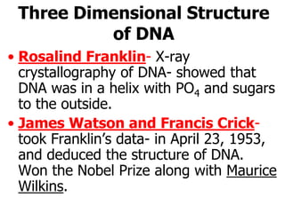 Three Dimensional Structure of DNA 
•Rosalind Franklin-X-ray crystallography of DNA-showed that DNA was in a helix with PO4and sugars to the outside. 
•James Watson and Francis Crick- took Franklin’s data-in April 23, 1953, and deduced the structure of DNA. Won the Nobel Prize along with Maurice Wilkins.  