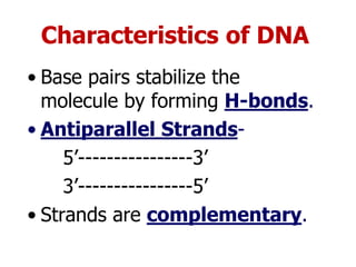 Characteristics of DNA 
•Base pairs stabilize the molecule by forming H-bonds. 
•Antiparallel Strands- 
5’----------------3’ 
3’----------------5’ 
•Strands are complementary.  