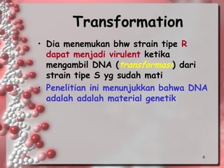 6Transformation 
•Dia menemukan bhw strain tipe R dapat menjadi virulentketika mengambil DNA (transformasi) dari strain tipe S yg sudah mati 
•Penelitian ini menunjukkan bahwa DNA adalah adalah material genetik  