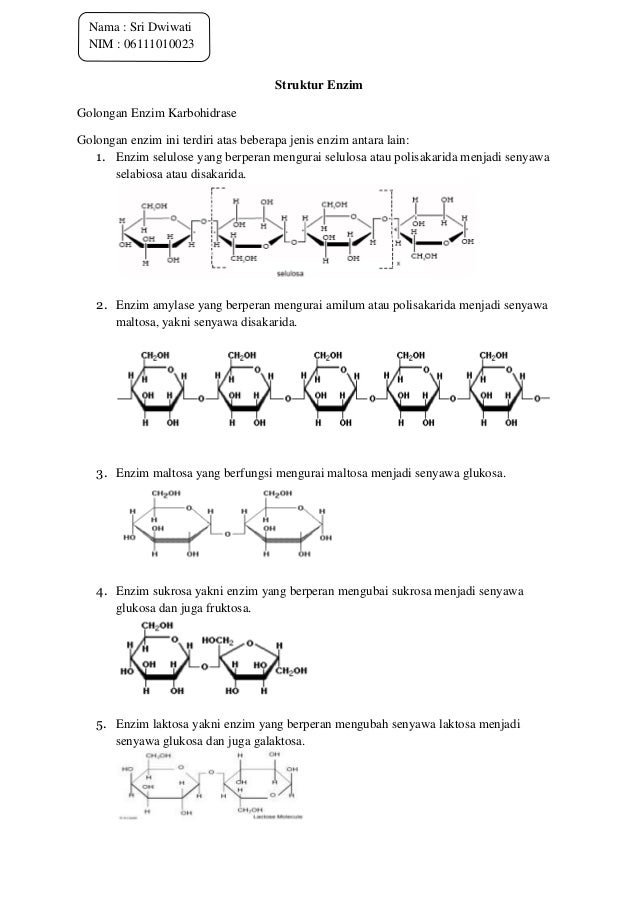 DOC) jurnal karbohidrat