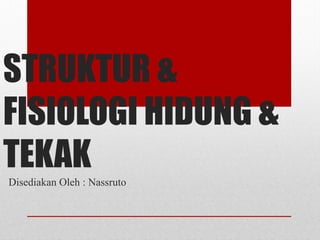 STRUKTUR &
FISIOLOGI HIDUNG &
TEKAK
Disediakan Oleh : Nassruto
 