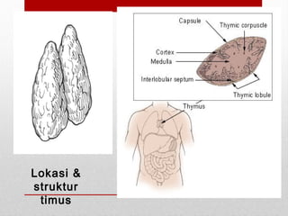 STRUKTUR & FUNGSI - SISTEM LIMFATIKA | PPT