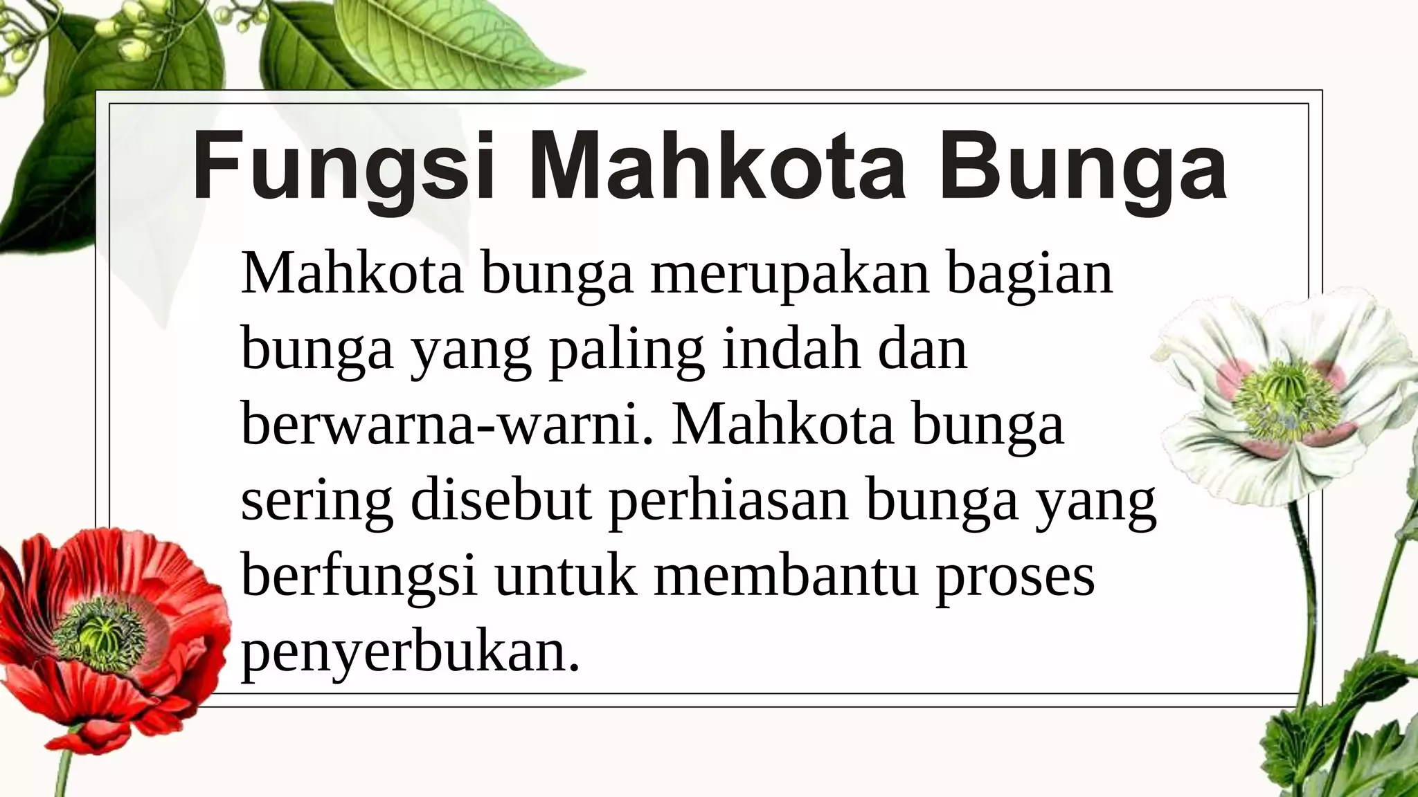 Struktur Dan Fungsi Bunga PPTX