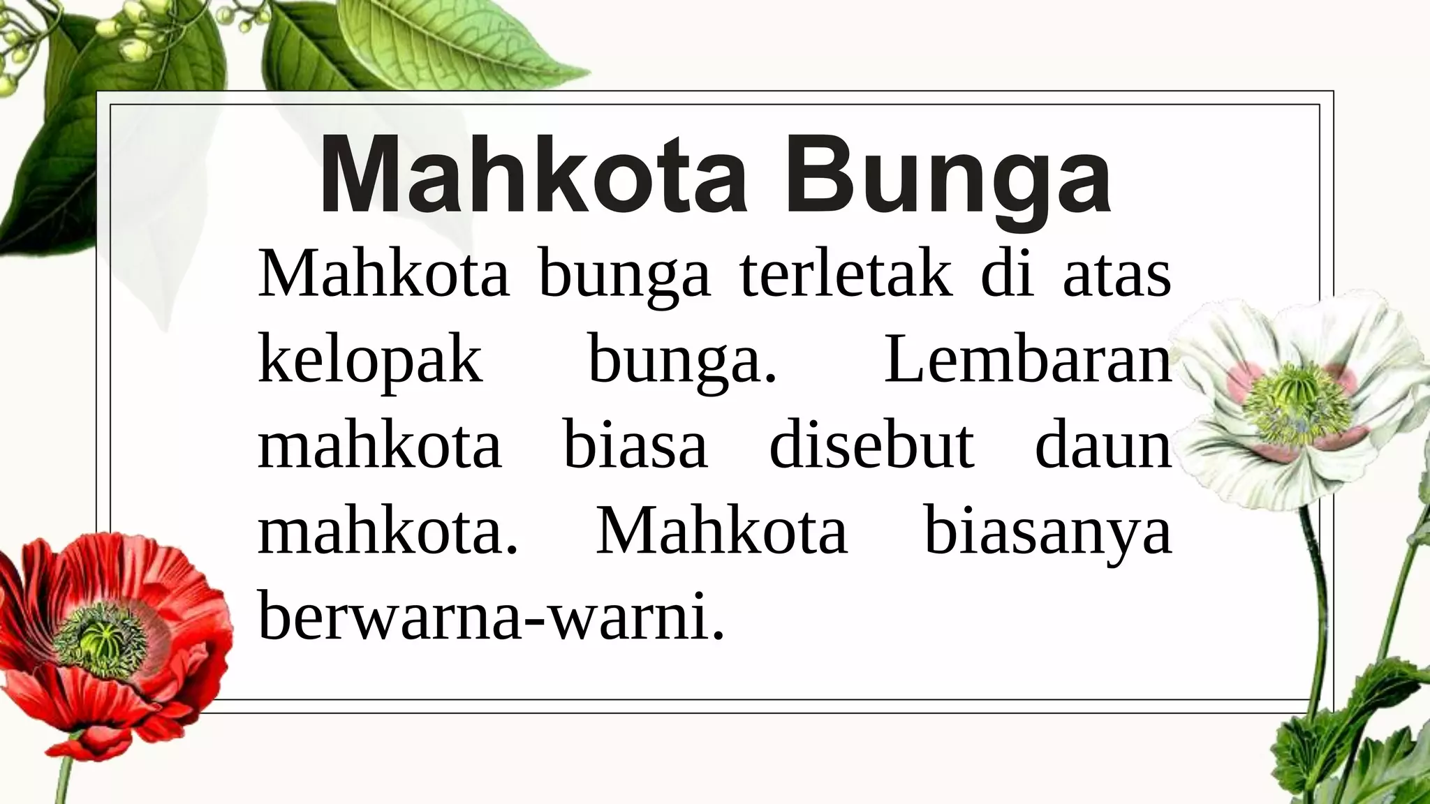 Struktur Dan Fungsi Bunga PPTX