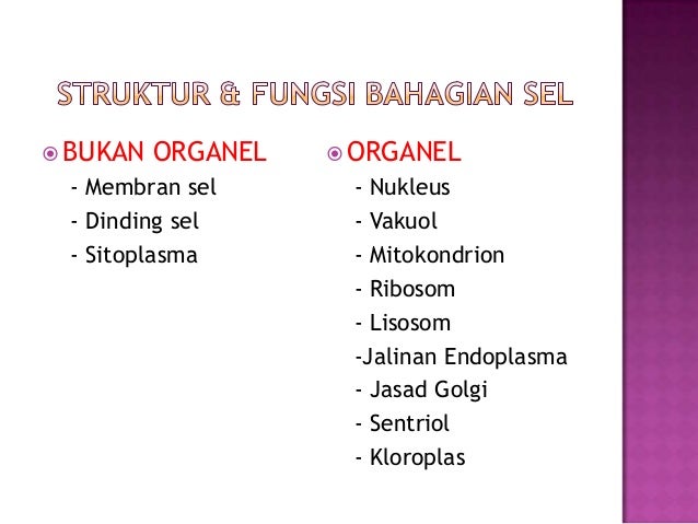 Struktur Fungsi Dan Metabolisme Sel