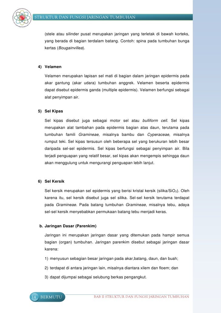 Struktur Fungsi Tumbuhan Smp