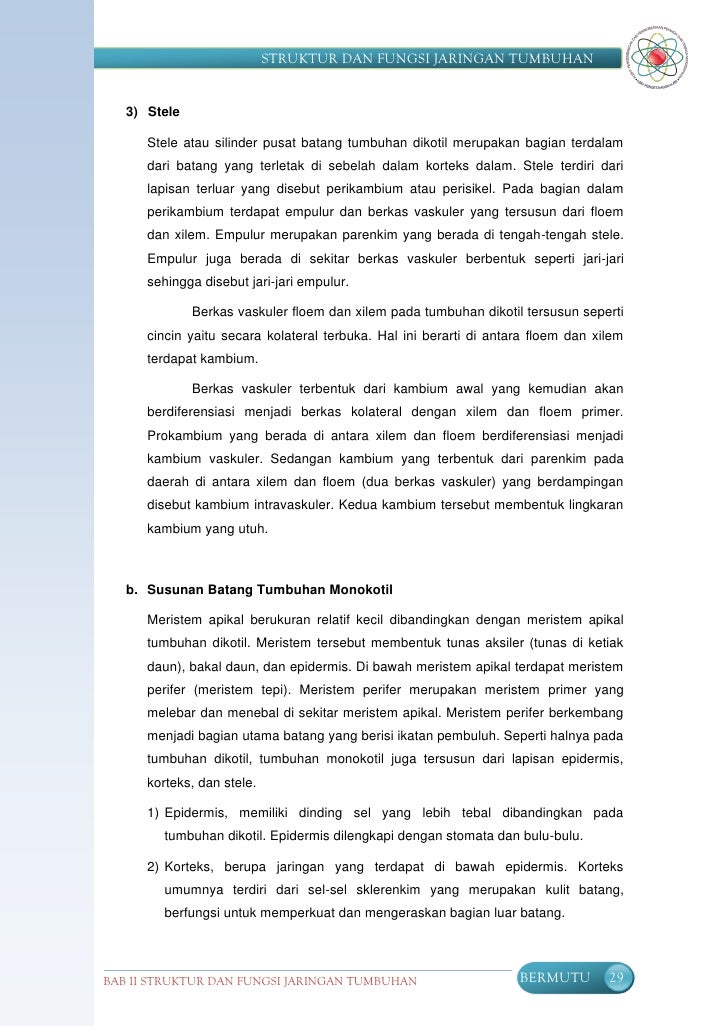 Struktur Fungsi Tumbuhan Smp