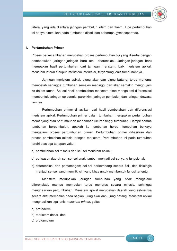 Struktur Fungsi Tumbuhan Smp