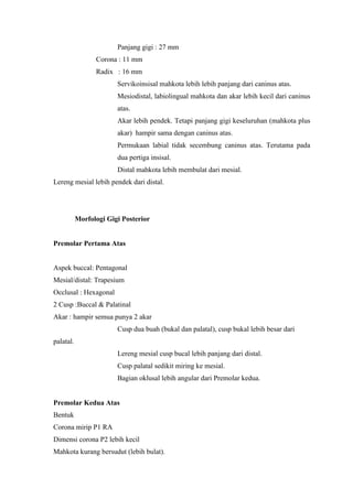 Panjang gigi : 27 mm
Corona : 11 mm
Radix : 16 mm
Servikoinsisal mahkota lebih lebih panjang dari caninus atas.
Mesiodistal, labiolingual mahkota dan akar lebih kecil dari caninus
atas.
Akar lebih pendek. Tetapi panjang gigi keseluruhan (mahkota plus
akar) hampir sama dengan caninus atas.
Permukaan labial tidak secembung caninus atas. Terutama pada
dua pertiga insisal.
Distal mahkota lebih membulat dari mesial.
Lereng mesial lebih pendek dari distal.
Morfologi Gigi Posterior
Premolar Pertama Atas
Aspek buccal: Pentagonal
Mesial/distal: Trapesium
Occlusal : Hexagonal
2 Cusp :Buccal & Palatinal
Akar : hampir semua punya 2 akar
Cusp dua buah (bukal dan palatal), cusp bukal lebih besar dari
palatal.
Lereng mesial cusp bucal lebih panjang dari distal.
Cusp palatal sedikit miring ke mesial.
Bagian oklusal lebih angular dari Premolar kedua.
Premolar Kedua Atas
Bentuk
Corona mirip P1 RA
Dimensi corona P2 lebih kecil
Mahkota kurang bersudut (lebih bulat).
 