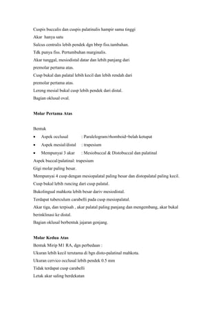 Cuspis buccalis dan cuspis palatinalis hampir sama tinggi
Akar hanya satu
Sulcus centralis lebih pendek dgn bbrp fiss.tambahan.
Tdk punya fiss. Pertumbuhan marginalis.
Akar tunggal, mesiodistal datar dan lebih panjang dari
premolar pertama atas.
Cusp bukal dan palatal lebih kecil dan lebih rendah dari
premolar pertama atas.
Lereng mesial bukal cusp lebih pendek dari distal.
Bagian oklusal oval.
Molar Pertama Atas
Bentuk
 Aspek occlusal : Paralelogram/rhomboid=belah ketupat
 Aspek mesial/distal : trapesium
 Mempunyai 3 akar : Mesiobuccal & Distobuccal dan palatinal
Aspek buccal/palatinal: trapesium
Gigi molar paling besar.
Mempunyai 4 cusp dengan mesiopalatal paling besar dan distopalatal paling kecil.
Cusp bukal lebih runcing dari cusp palatal.
Bukolingual mahkota lebih besar dari mesiodistal.
Terdapat tuberculum carabelli pada cusp mesiopalatal.
Akar tiga, dan terpisah , akar palatal paling panjang dan mengembang, akar bukal
berinklinasi ke distal.
Bagian oklusal berbentuk jajaran genjang.
Molar Kedua Atas
Bentuk Mirip M1 RA, dgn perbedaan :
Ukuran lebih kecil terutama di bgn disto-palatinal mahkota.
Ukuran cervico occlusal lebih pendek 0.5 mm
Tidak terdapat cusp carabelli
Letak akar saling berdekatan
 