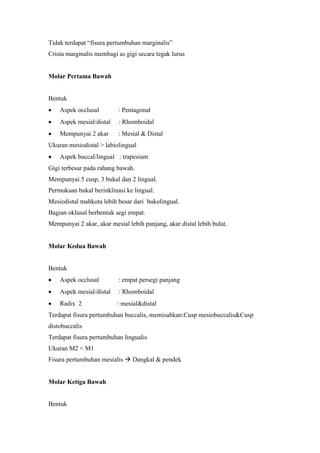 Tidak terdapat “fisura pertumbuhan marginalis”
Crista marginalis membagi as gigi secara tegak lurus
Molar Pertama Bawah
Bentuk
 Aspek occlusal : Pentagonal
 Aspek mesial/distal : Rhomboidal
 Mempunyai 2 akar : Mesial & Distal
Ukuran mesiodistal > labiolingual
 Aspek buccal/lingual : trapesium
Gigi terbesar pada rahang bawah.
Mempunyai 5 cusp, 3 bukal dan 2 lingual.
Permukaan bukal berinklinasi ke lingual.
Mesiodistal mahkota lebih besar dari bukolingual.
Bagian oklusal berbentuk segi empat.
Mempunyai 2 akar, akar mesial lebih panjang, akar distal lebih bulat.
Molar Kedua Bawah
Bentuk
 Aspek occlusal : empat persegi panjang
 Aspek mesial/distal : Rhomboidal
 Radix 2 : mesial&distal
Terdapat fisura pertumbuhan buccalis, memisahkan:Cusp mesiobuccalis&Cusp
distobuccalis
Terdapat fisura pertumbuhan lingualis
Ukuran M2 < M1
Fisura pertumbuhan mesialis  Dangkal & pendek
Molar Ketiga Bawah
Bentuk
 