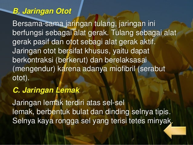 Struktur jaringan pada hewan vertebrata Struktur jaringan pada hewan vertebrata