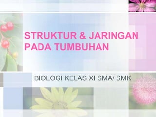 STRUKTUR & JARINGAN
PADA TUMBUHAN
BIOLOGI KELAS XI SMA/ SMK
 