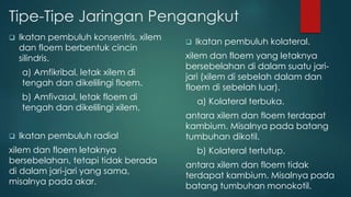 Tipe-Tipe Jaringan Pengangkut
 Ikatan pembuluh konsentris, xilem
dan floem berbentuk cincin
silindris.
a) Amfikribal, letak xilem di
tengah dan dikelilingi floem.
b) Amfivasal, letak floem di
tengah dan dikelilingi xilem.
 Ikatan pembuluh radial
xilem dan floem letaknya
bersebelahan, tetapi tidak berada
di dalam jari-jari yang sama,
misalnya pada akar.
 Ikatan pembuluh kolateral.
xilem dan floem yang letaknya
bersebelahan di dalam suatu jari-
jari (xilem di sebelah dalam dan
floem di sebelah luar).
a) Kolateral terbuka.
antara xilem dan floem terdapat
kambium. Misalnya pada batang
tumbuhan dikotil.
b) Kolateral tertutup.
antara xilem dan floem tidak
terdapat kambium. Misalnya pada
batang tumbuhan monokotil.
 