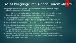 Proses Pengangkutan Air dan Garam Mineral
Pengangkutan air dan garam – garam mineral pada tumbuhan tingkat
tinggi, melalui dua mekanisme
1. pertama, air dan mineral diserap dari dalam tanah menuju sel – sel akar,
kemudian air itu baru diangkut menuju daun untuk fotosintesis .
 Jadi pengangkutan air dan mineral ini dilakukan secara
diluar berkas pembuluh angkut disebut pengangkutan ekstra vaskuler.
 didalam berkas pembuluh angkut disebut pengangkutan intra vaskuler.
Pengangkutan air dengan dua cara ini sebenarnya merupakan satu
kesatuan yang berurutan. Artinya pertama air dari tanah masuk menuju
berkas pengangkut meelalui organ diluar berkas yaitu berturutan
epidermis - kortex - endodermis - perisikel - baru Xilem
 Sedang pengangkutan intravasikuler intinya pengangkutan di dalam
pembuluh dari akar ke daun , Pembuluh atau saluran yang dilalui adalah
Xylem atau pembuluh kayu
 
