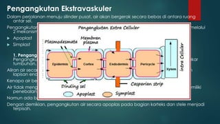 Pengangkutan Ekstravaskuler
Dalam perjalanan menuju silinder pusat, air akan bergerak secara bebas di antara ruang
antar sel.
Pengangkutan air dan mineral dari dalam tanah di luar berkas pembuluh ini dilakukan melalui
2 mekanisme, yaitu
 Apoplast
 Simplast
1. Pengangkutan Apoplast
Pengangkutan sepanjang jalur ekstraseluler yang terdiri atas bagian tak hidup dari akar
tumbuhan, yaitu dinding sel dan ruang antar sel. air masuk dengan cara osmosis
Aliran air secara apoplas tidak tidak dapat terus mencapai xilem karena terhalang oleh
lapisan endodermis
Kenapa air berhenti mengalir ?
Air tidak mengalir karena terhalang bagian endodermis bersifat impermeable yang memiliki
penebalan dinding sel dari suberin dan lignin
Namun ada bagian yang khusus yaitu celah kaspari yang bisa dilalui air
Dengan demikian, pengangkutan air secara apoplas pada bagian korteks dan stele menjadi
terpisah.
 