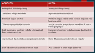 MONOKOTIL DIKOTIL
Batang tidak bercabang-cabang Batang bercabang-cabang
Hipodermis berupa sklerenkim Hipodermis berupa sklerenkim
Pembuluh angkut tersebar Pembuluh angkut teratur dalam susunan lingkaran atau
berselang radial
Tidak mempunyai jari-jari empulur Jari- jari empulur berupa deretan parenkima di antara
berkas pengangkut
Tidak mempunyai kambium vaskular sehingga tidak
dapat tumbuh membesar
Mempunyai kambium vaskular, sehigga dapat tumbuh
membesar
Empulur tidak dapat dibedakan dengan daerah korteks Dapat dibedakan daerah korteks dan empulur
Tidak ada kambium di antara xilem dan floem Ada kambium di antara xilem dan floem
 