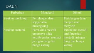 DAUN
Perbedaan Monokotil Dikotil
Struktur morfologi Pertulangan daun
sejajar atau
melengkung
Pertulangan daun
menjari atau
menyirip
Struktur anatomi Parenkima mesofil
umumnya tidak
terdiferensiasi menjadi
jaringan tiang dan
bunga karang
Parenkima mesofil
terdiferensiasi
menjadi jaringan
tiang dan bunga
karang
 