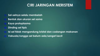 CIRI JARINGAN MERISTEM
1) Sel-selnya selalu membelah
2) Bentuk dan ukuran sel sama
3) Kaya protoplasma
4) Dinding sel tipis
5) Isi sel tidak mengandung kristal dan cadangan makanan
6) Vakuola/rongga sel belum ada/sangat kecil
 