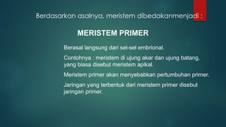 MERISTEM PRIMER
Berasal langsung dari sel-sel embrional.
Contohnya : meristem di ujung akar dan ujung batang,
yang biasa disebut meristem apikal.
Meristem primer akan menyebabkan pertumbuhan primer.
Jaringan yang terbentuk dari meristem primer disebut
jaringan primer.
Berdasarkan asalnya, meristem dibedakanmenjadi :
 