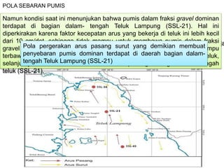 selama air pasang maupun air surut yang berlangsung masing-masing 6 ja
suatu butiran pumis akan mampu ditransport sujauh 6 x 0,2 mil = 1,2 mil
(kurang lebih 2 km).
POLA SEBARAN PUMIS
Pada saat erupsi Gunungapi Krakatau 1883, endapan pumis dalam
semua ukuran relatif tersebar merata di seluruh Teluk Lampung.
Namun kondisi saat ini menunjukan bahwa pumis dalam fraksi gravel dominan
terdapat di bagian dalam- tengah Teluk Lampung (SSL-21). Hal ini
diperkirakan karena faktor kecepatan arus yang bekerja di teluk ini lebih kecil
dari 10 cm/det, sehingga tidak mampu untuk membawa pumis dalam fraksi
gravel untuk keluar dari dalam kawasan tersebut. Pumis hanya mampu
terbawa saat arus surut terjadi hingga radius kurang lebih 2 km ke luar teluk,
selanjutnya dikembalikan kembali oleh arus pasang ke bagian dalam-tengah
teluk (SSL-21).
Pola pergerakan arus pasang surut yang demikian membuat
penyebaran pumis dominan terdapat di daerah bagian dalam-
tengah Teluk Lampung (SSL-21)
 