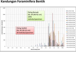 Kandungan Foraminifera Bentik
0
200
400
600
800
1000
1200
-2.0 -1.5 -1.0 -0.5 0 0.5 1.0 1.5 2.0 2.5 3.0 3.5 4.0 PAN
JumlahKandunganmikrobentik
Ukuran lubang mesh
SSL-34 (0-2 CM)
SSL-34 (10-12 CM)
SSL-34 (20-22 CM)
SSL-34 (30-32 CM)
SSL-34 (40-42 CM)
SSL-34 (50-52 CM)
SSL-34 (60-62 CM)
SSL-34 (70-72 CM)
SSL-34 (80-82 CM)
SSL-21 (0-2 CM)
SSL-21 (10-12 CM)
SSL-21 (20-22 CM)
SSL-21 (30-32 CM)
SSL-21 (40-42 CM)
SSL-43 (0-2 CM)
SSL-43 (10-12 CM)
SSL-43 (20-22 CM)
SSL-43 (30-32 CM)
SSL-43 (40-42 CM)
SSL-43 (50-52 CM)
Paling Banyak
SSL 34 (40-42 cm)
1945
individu/spesimen
Paling Sedikit
SSL 34 (30-32 cm)
34 Individu/spesimen
 