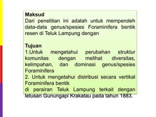 Maksud
Dari penelitian ini adalah untuk memperoleh
data-data genus/spesies Foraminifera bentik
resen di Teluk Lampung dengan
Tujuan
1.Untuk mengetahui perubahan struktur
komunitas dengan melihat diversitas,
kelimpahan, dan dominasi genus/spesies
Foraminifera
2. Untuk mengetahui distribusi secara vertikal
Foraminifera bentik
di perairan Teluk Lampung terkait dengan
letusan Gunungapi Krakatau pada tahun 1883.
 