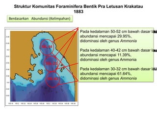 Struktur Komunitas Foraminifera Bentik Pra Letusan Krakatau
1883
Berdasarkan Abundansi (Kelimpahan)
SSL-34
SSL-21
SSL-43
Pada kedalaman 80-82 cm bawah dasar laut
Abundansi mencapai 34.51%,
didominasi oleh genus Ammonia
kedalaman 70-72 cm bawah dasar laut,
abundansi mencapai 43.62%,
didominasi oleh genus Ammonia
Pada kedalaman 60-62 cm bawah dasar laut
abundansi mencapai 21.85%,
didominasi oleh genus Ammonia
Pada kedalaman 40-42 cm bawah dasar lau
abundansi mencapai 50%,
didominasi oleh genus Ammonia
Pada kedalaman 30-32 cm bawah dasar lau
abundansi mencapai 50.05%,
didominasi oleh genus Ammonia
Pada kedalaman 50-52 cm bawah dasar laut
abundansi mencapai 29.95%,
didominasi oleh genus Ammonia
Pada kedalaman 40-42 cm bawah dasar laut
abundansi mencapai 11.39%,
didominasi oleh genus Ammonia
Pada kedalaman 30-32 cm bawah dasar laut
abundansi mencapai 61.64%,
didominasi oleh genus Ammonia
 